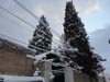Wallpaper - Quetta Snowfall January 2012 (2) - 4608 x 3456